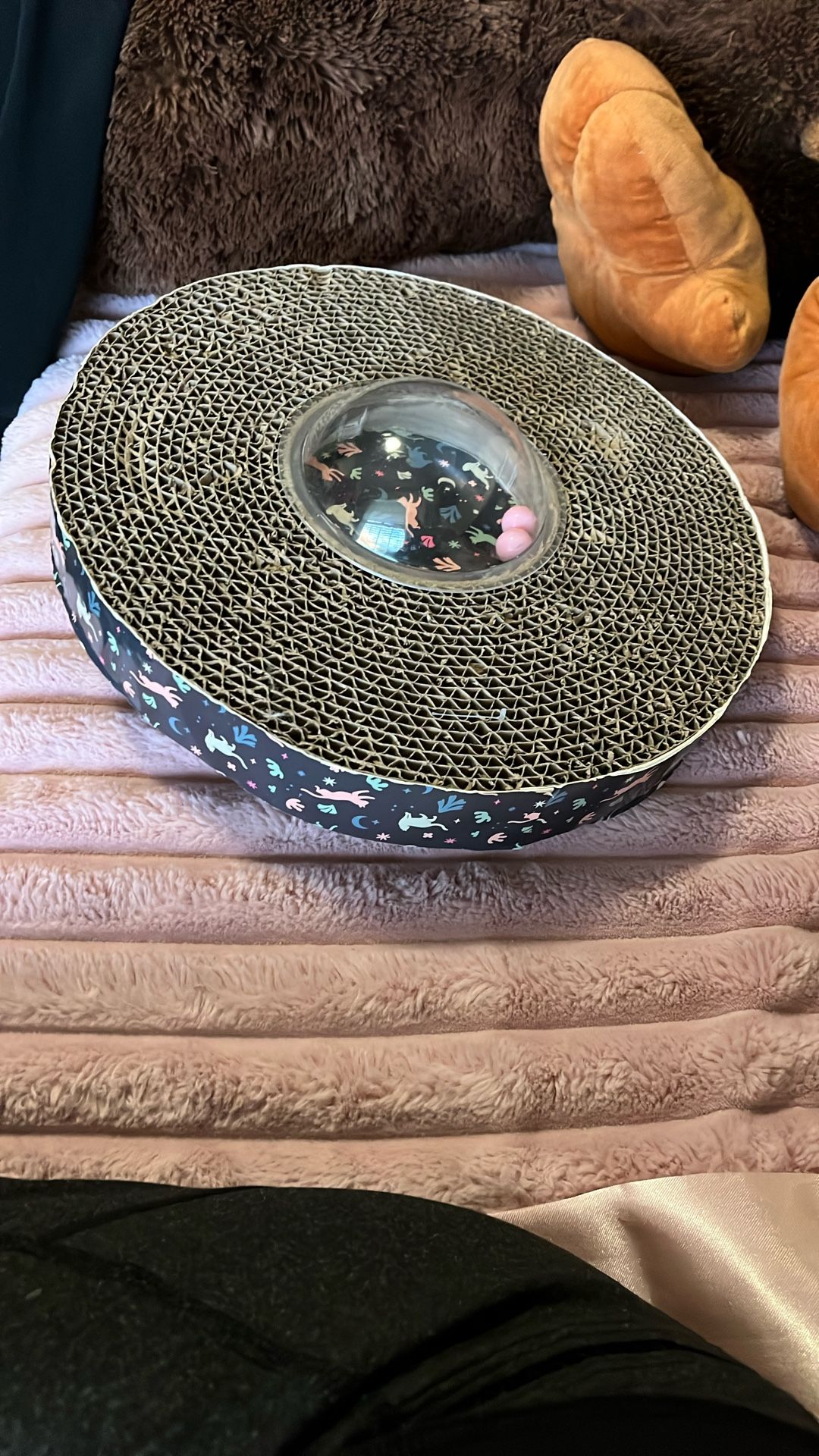 Cat Scratcher