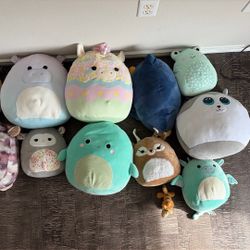Authentic Squishmallows
