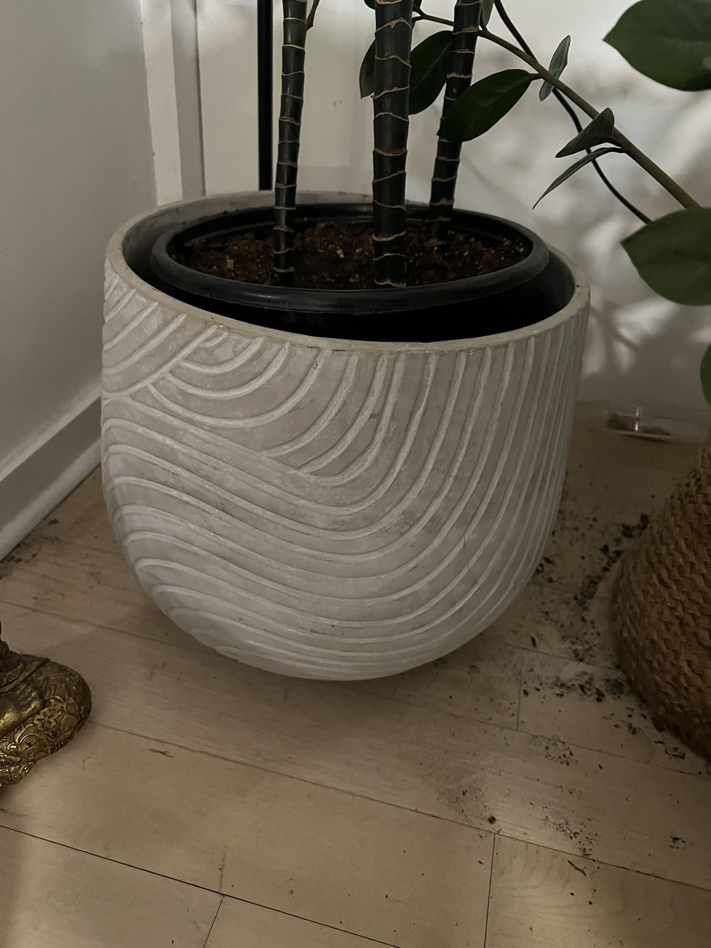 Anthropologie Sierra Large Planter