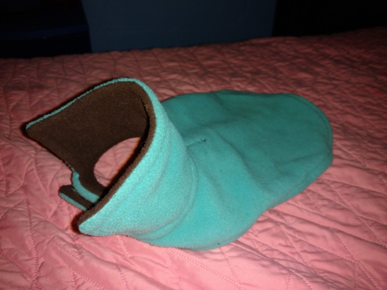 Gently Used Small Dog Coat
