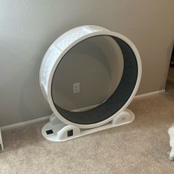 Pet Exercise Wheel 