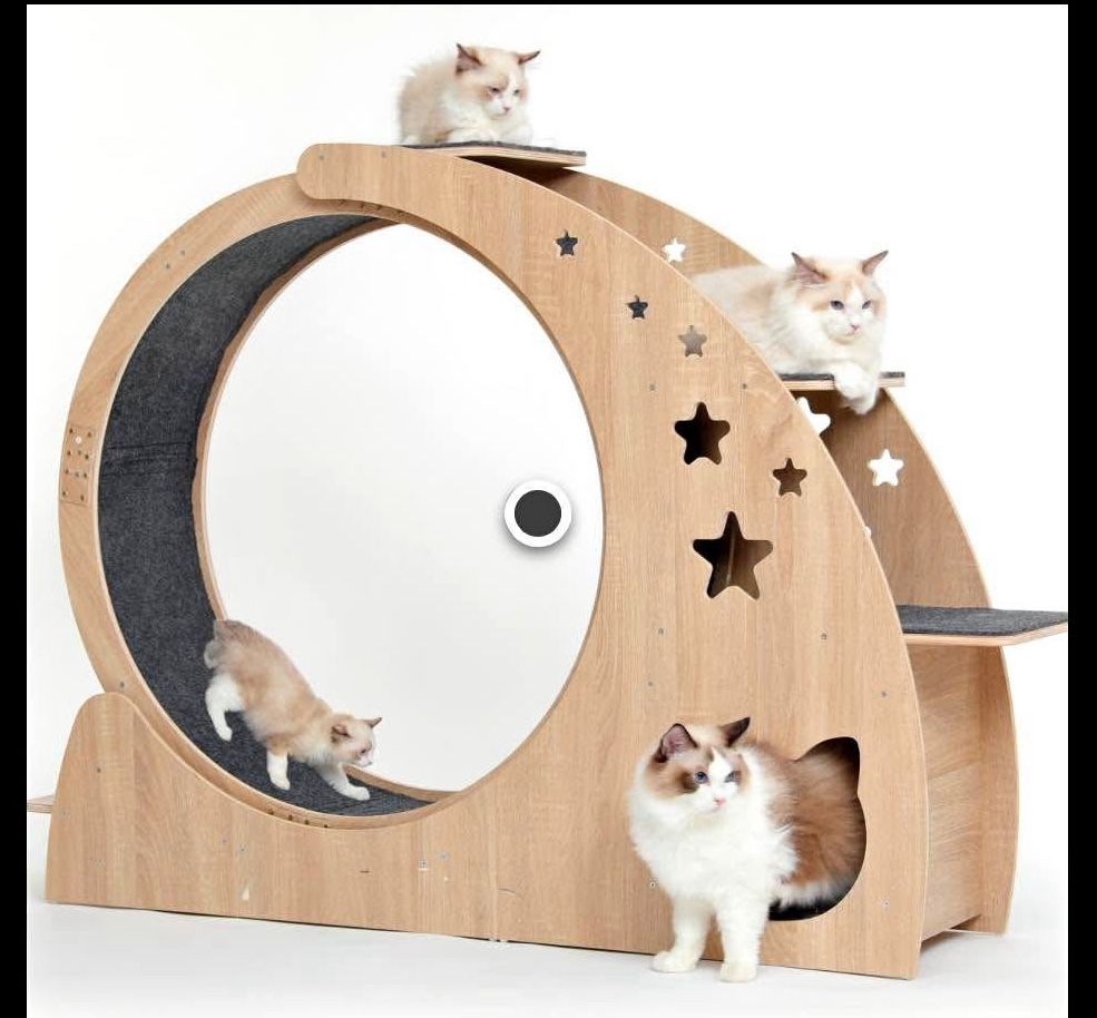 Cat Wheel/Treadmill