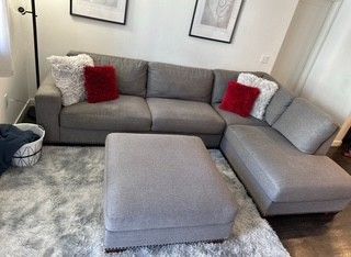 Grey Sectional Couch