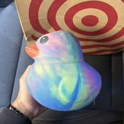 Squishy Duck