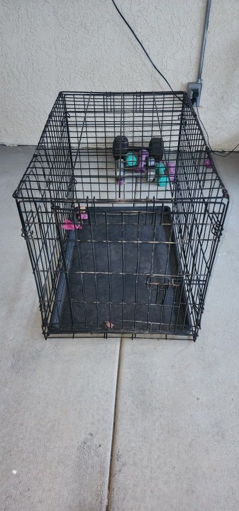 Dog Crate