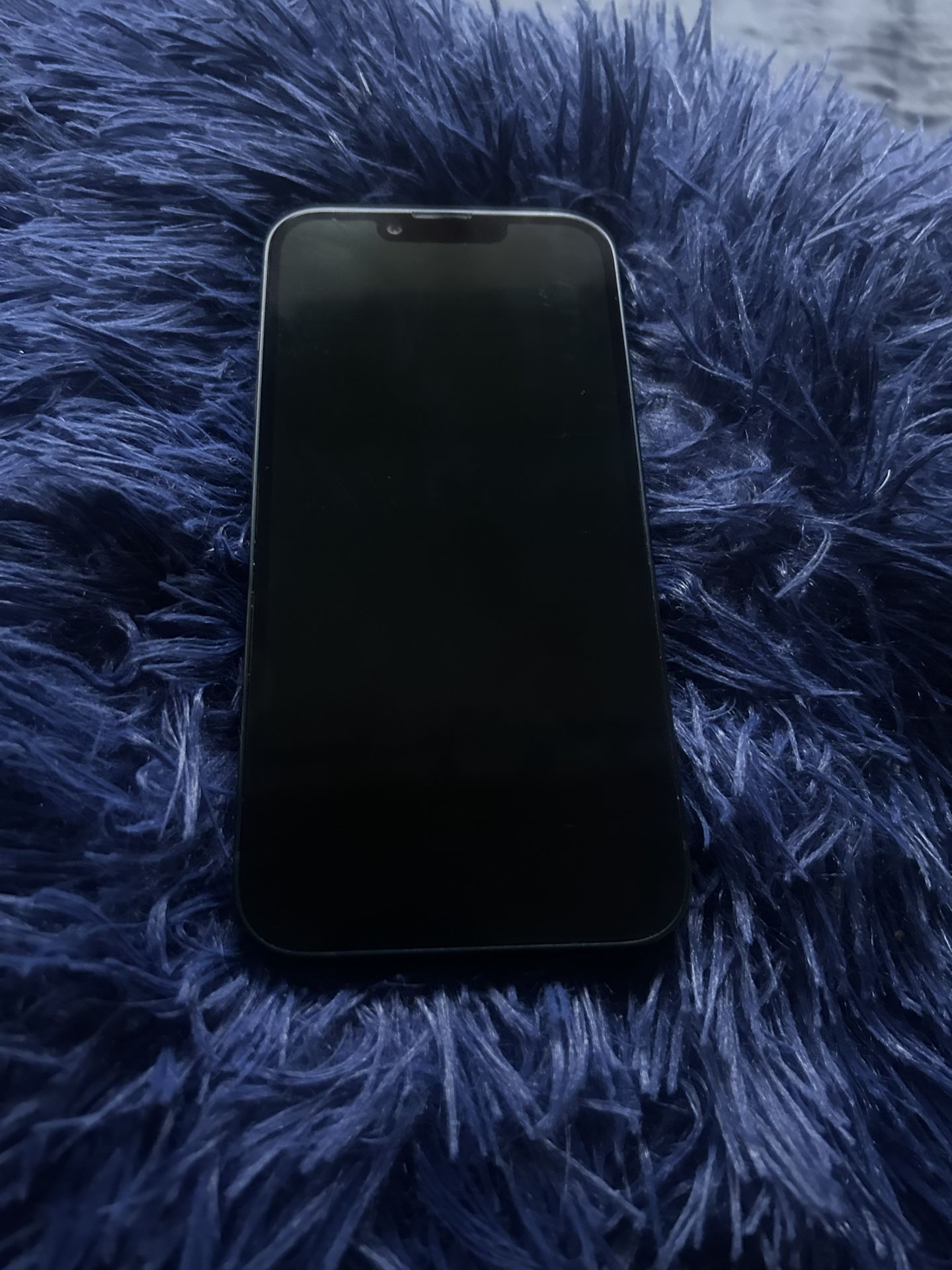 iPhone 14