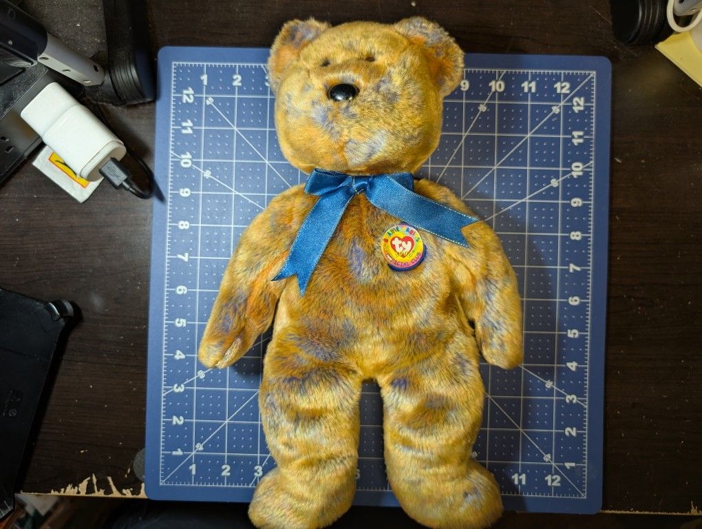 TY BEANIE BUDDY 9" BABY BEAR Soft Plush Brown Tie Dye Sheen 2000 CHUBBY III