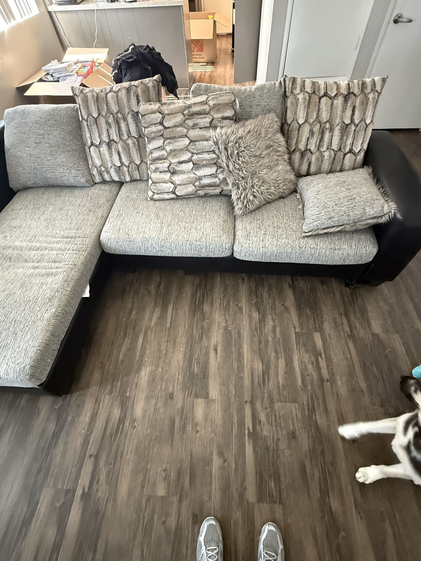 Couches