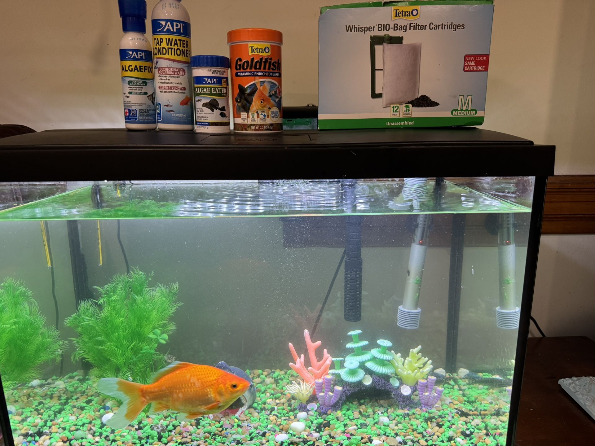 Aquarium