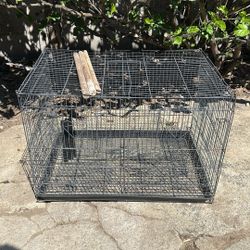 FREE fReE FREE Bird Cage 