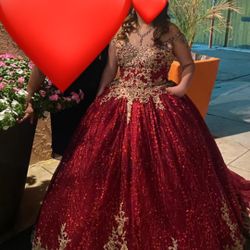 Quinceañera Dress 