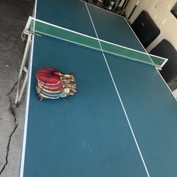 Table tennis with paddles/net