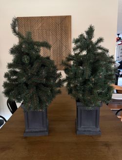 Mini Christmas Trees