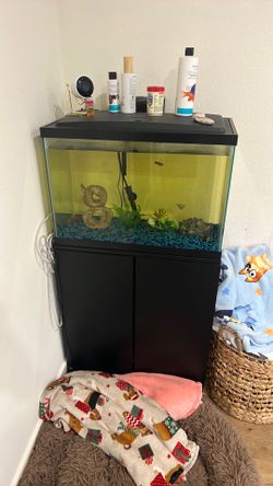 Aquarium