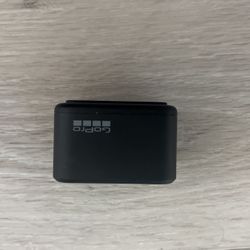 ===Original GoPro Dual Battery Charger==