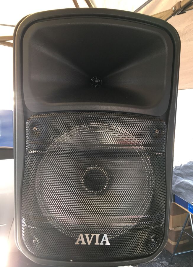 Avia portable trolley Bluetooth speakers
