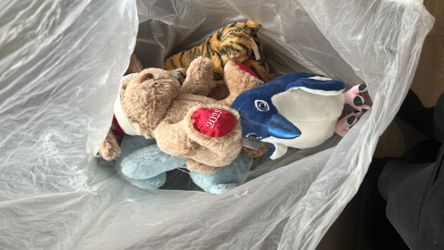 Baby teddy bears