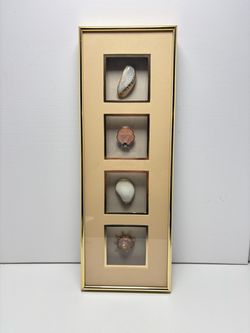 Framed Seashell Shadow Box Wall Art