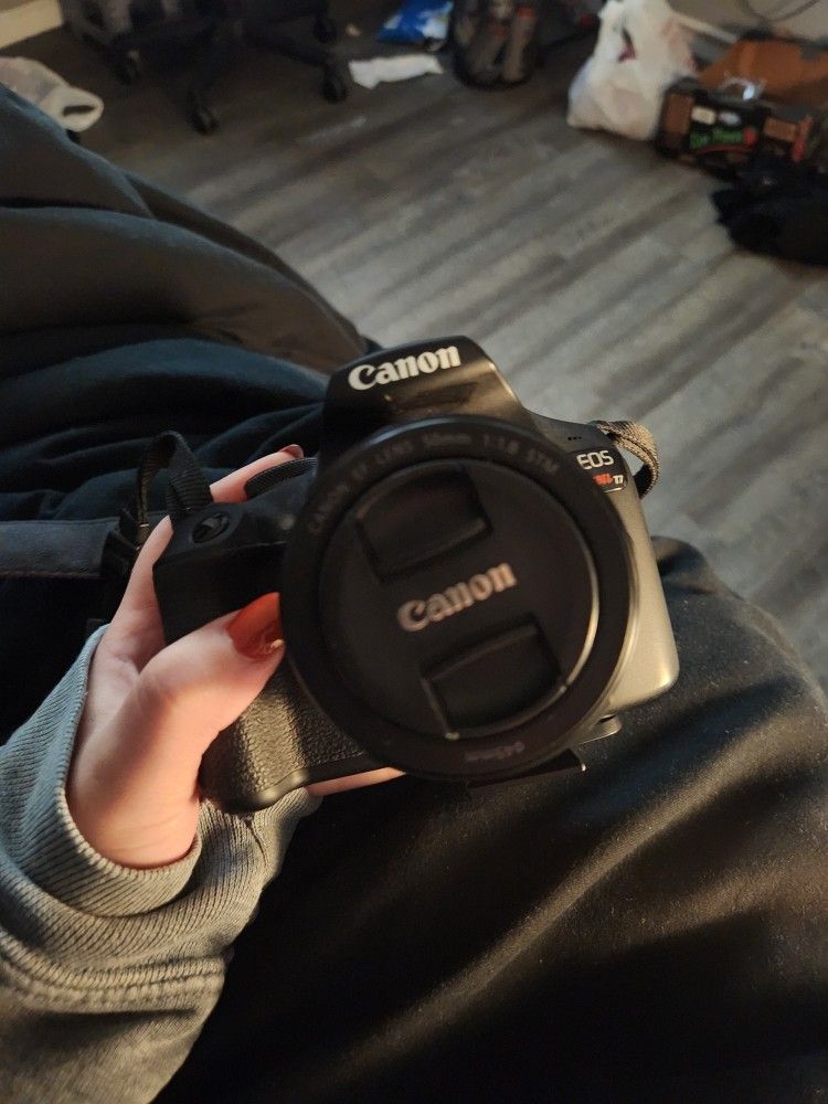 Canon Rebel T7 And 50mm Lens