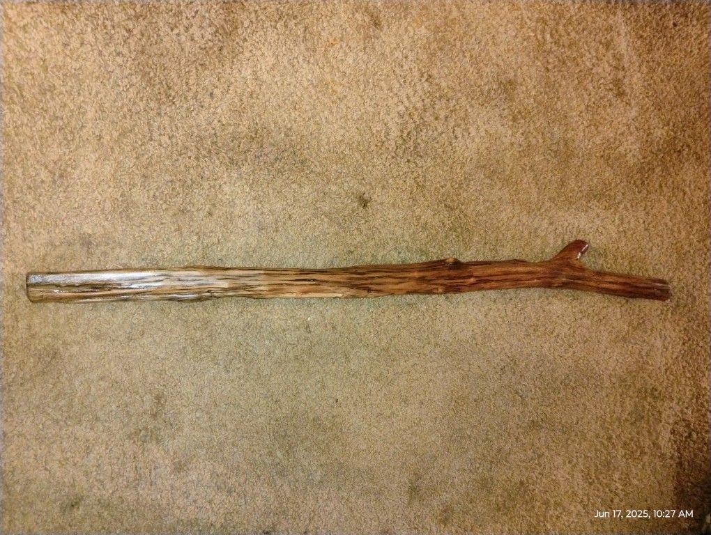 Walking Sticks