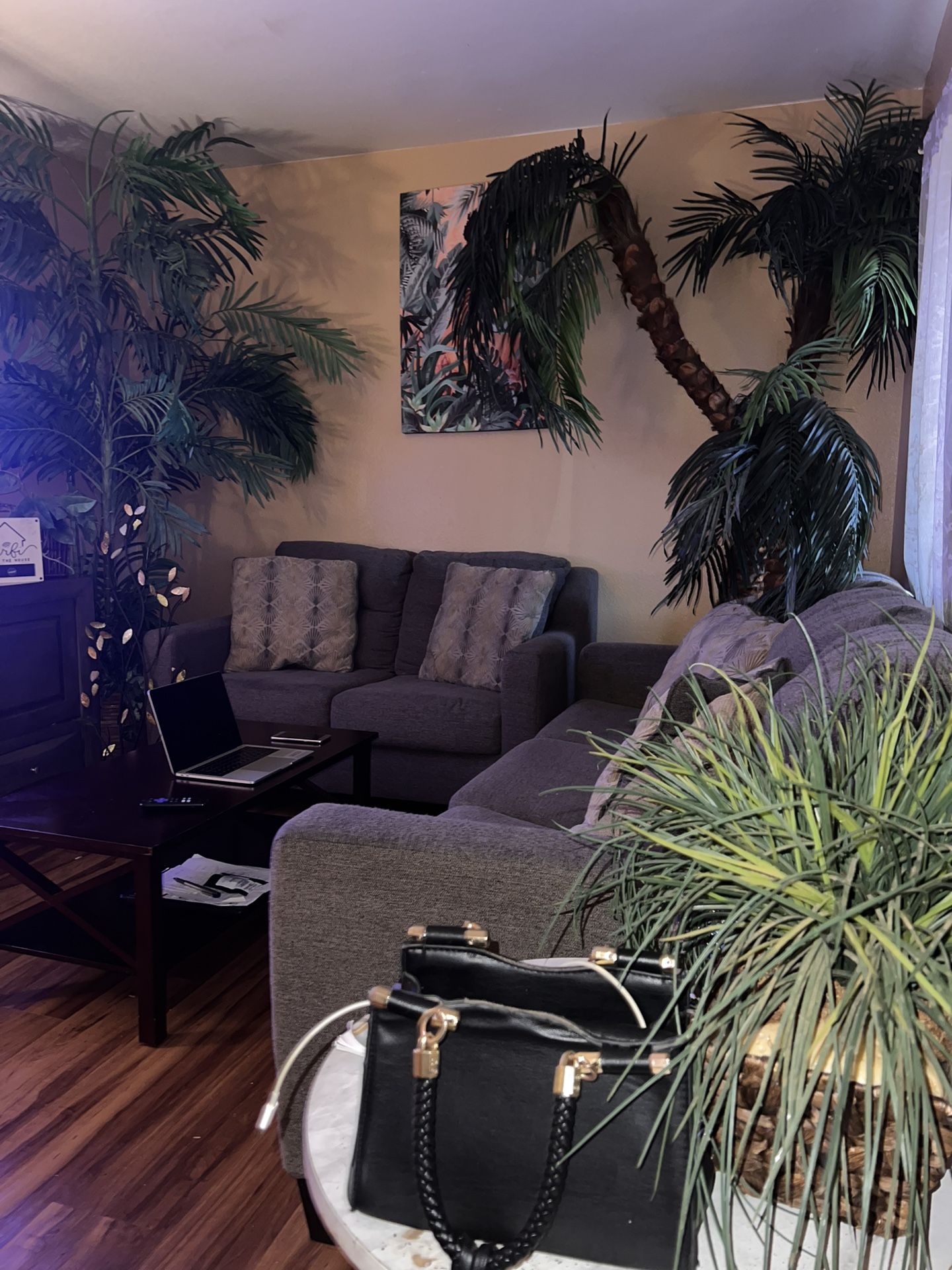 Sofa And Loveseat Set