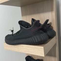 Yeezy 350