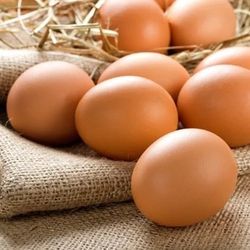 Organic Eggs