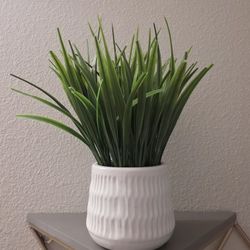Faux Grass Plant