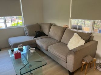 FREE COUCH!