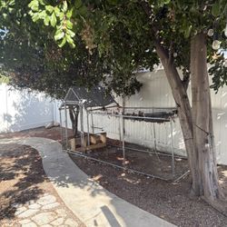 Small Backyard Chicken Coop