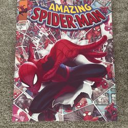 Spider-Man Painting 