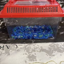 Portable mini fish tank with food