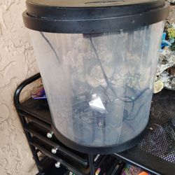 Small Fish Tank With  Mix Glow Light 