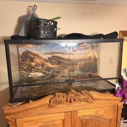 40 Gallon Reptile Tank