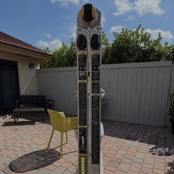 Gorilla  Ladder 22 Ft.