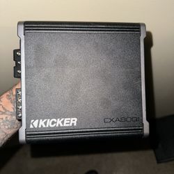 Subwoofer w/ Amp and 2 Channel Converter