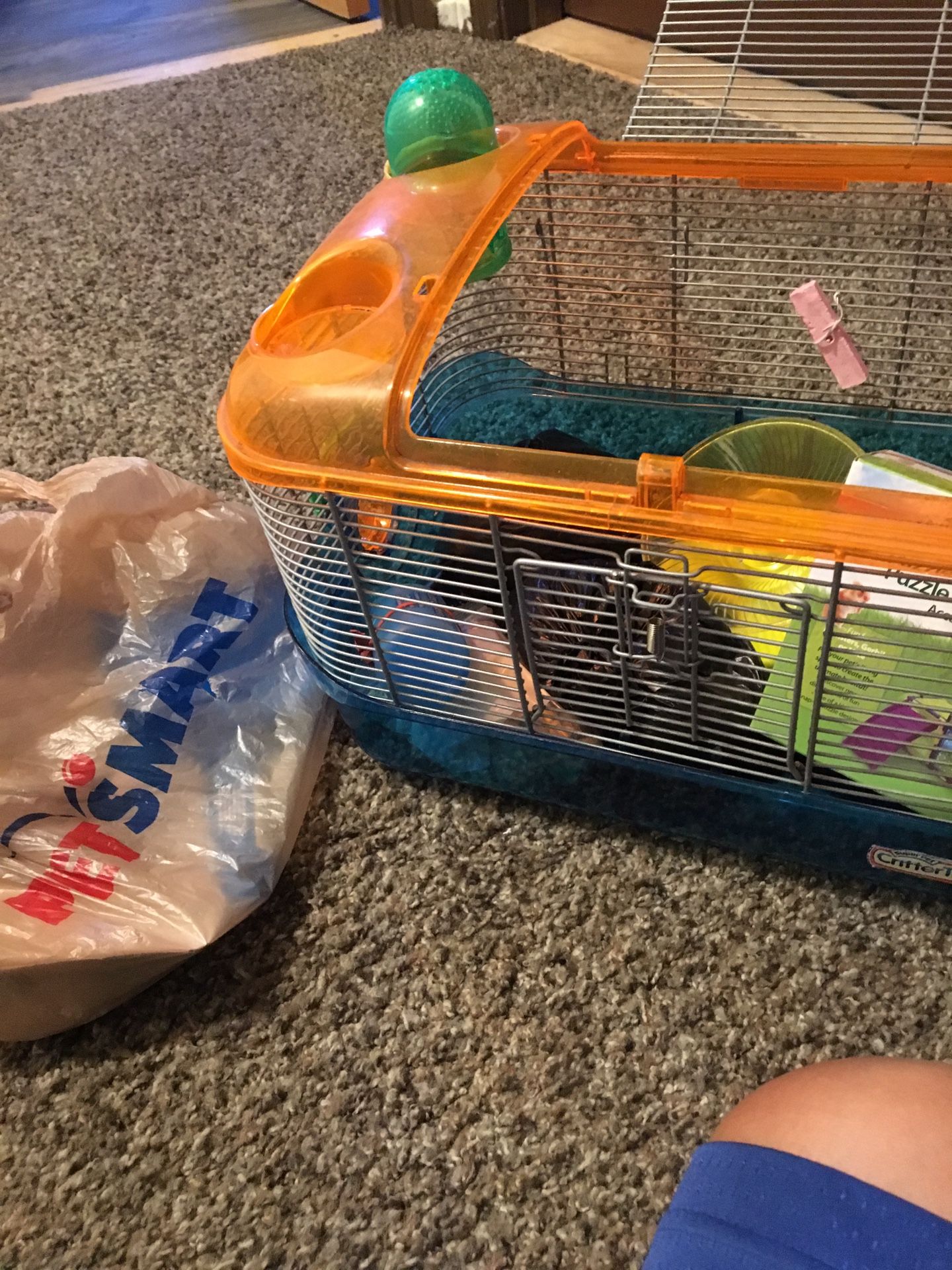 Hamster cage