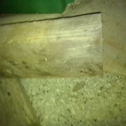 4x8 Beam Between 18-19 Feet Long 