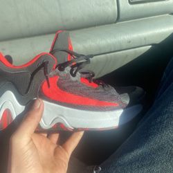 Giannis Antetokounmpo Basketball Shoes