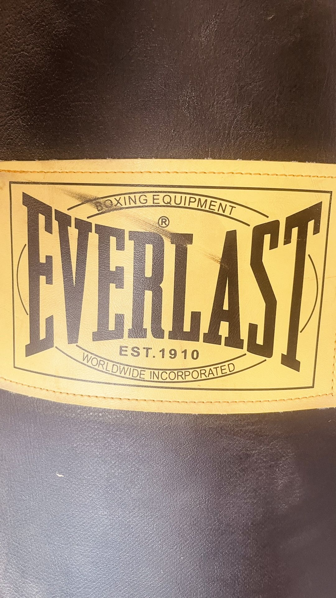 EVERLAST PUNCHING BAG