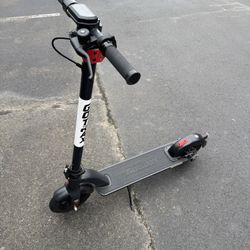 GoTrax G4 Electric Scooter