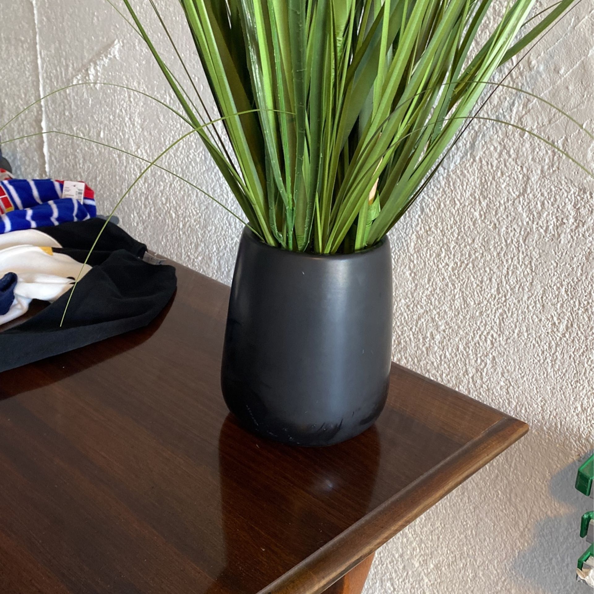Indoor Plant