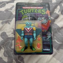 Teenage Mutant Ninja Turtles