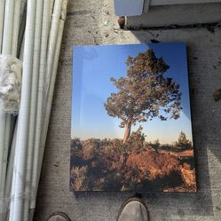 Tree Landscape Canvas Print