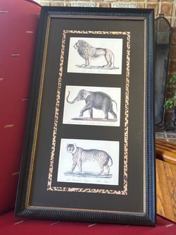 Triple Panel VNTG Zoological Lion, Elephant & Tiger Animal Prints in Custom Wood Frame