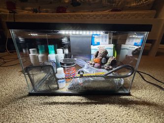 Fish Tank Starting Kit