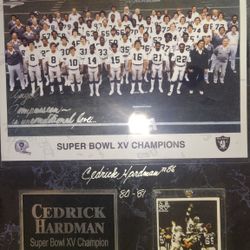 Sports,Raiders, Football, 1980 World Championship 
