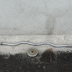 Curl bar and one weight plate 47" long