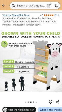 Step Stool Toddlers