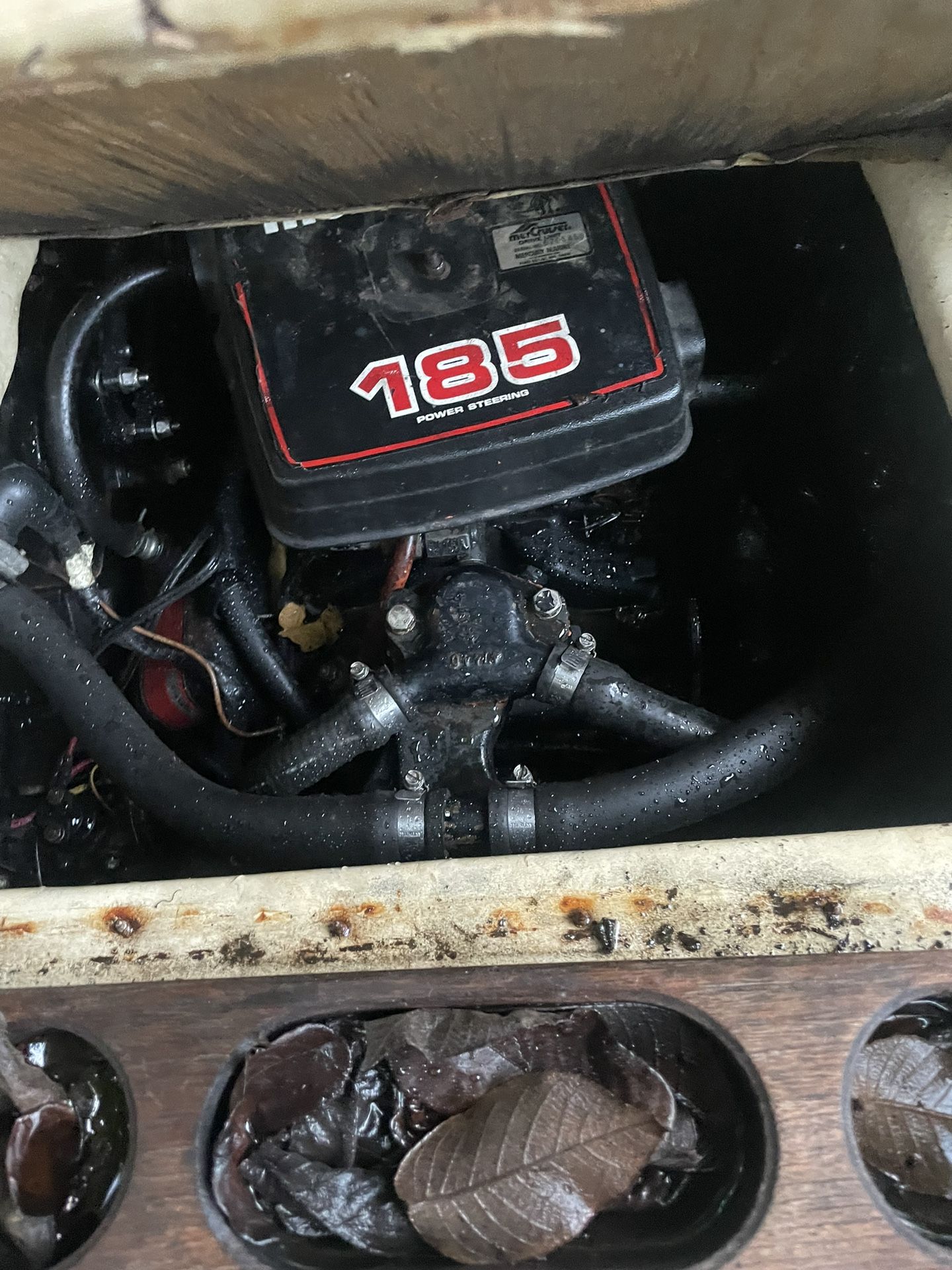 1984 MerCruiser Celebrity